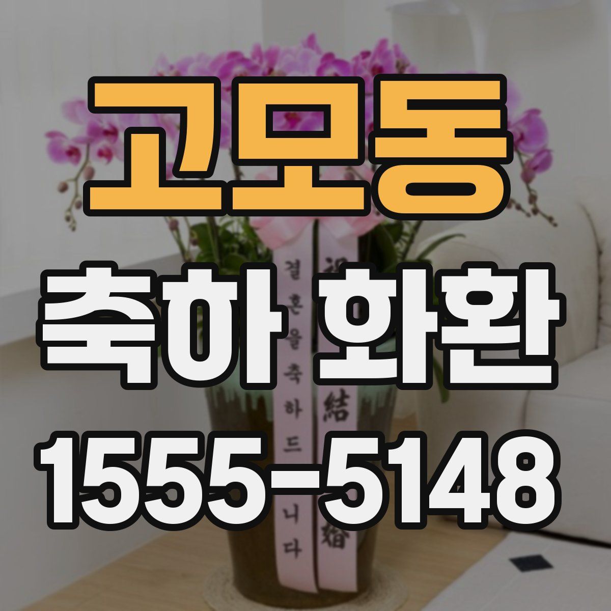 고모동 축하 화환