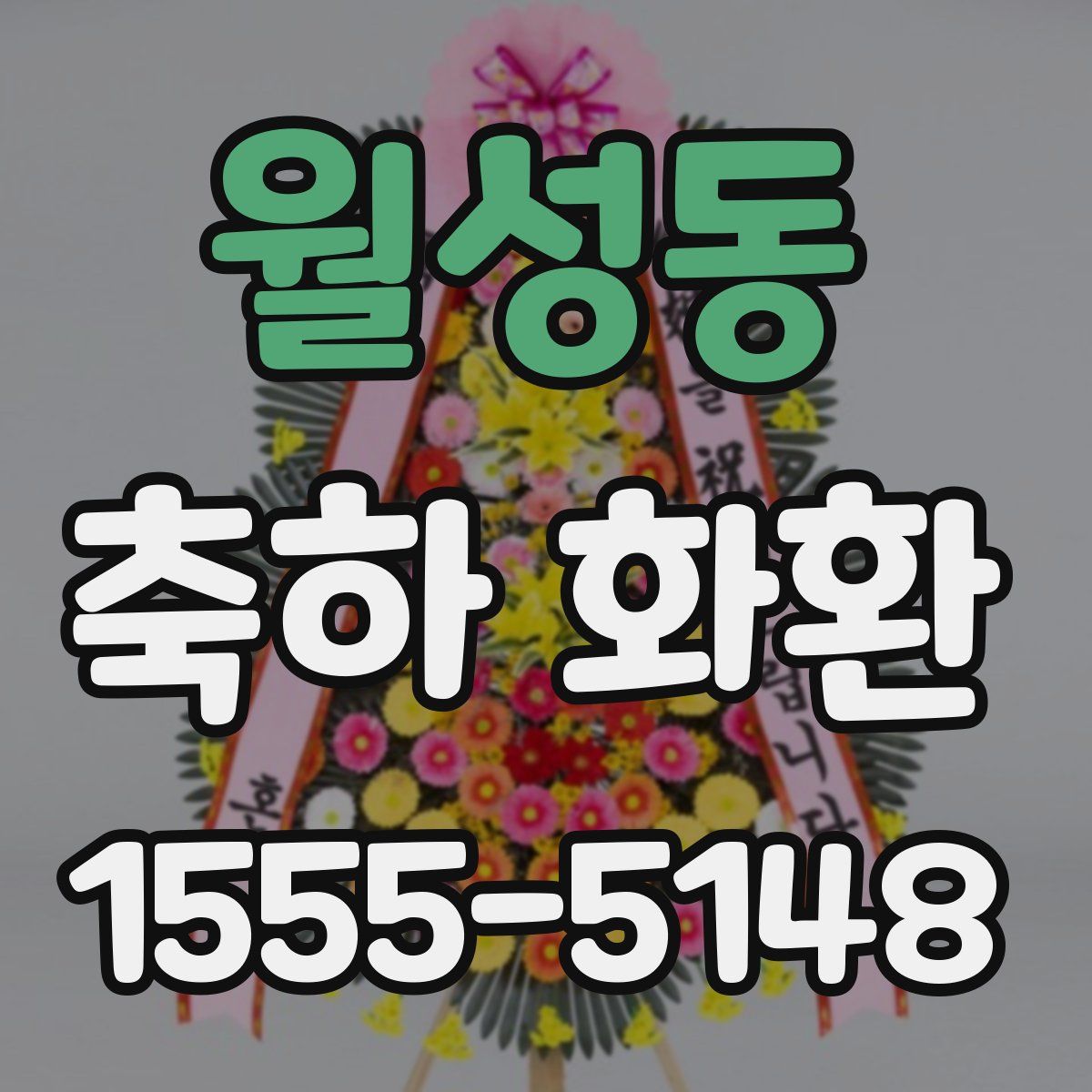 월성동 축하 화환