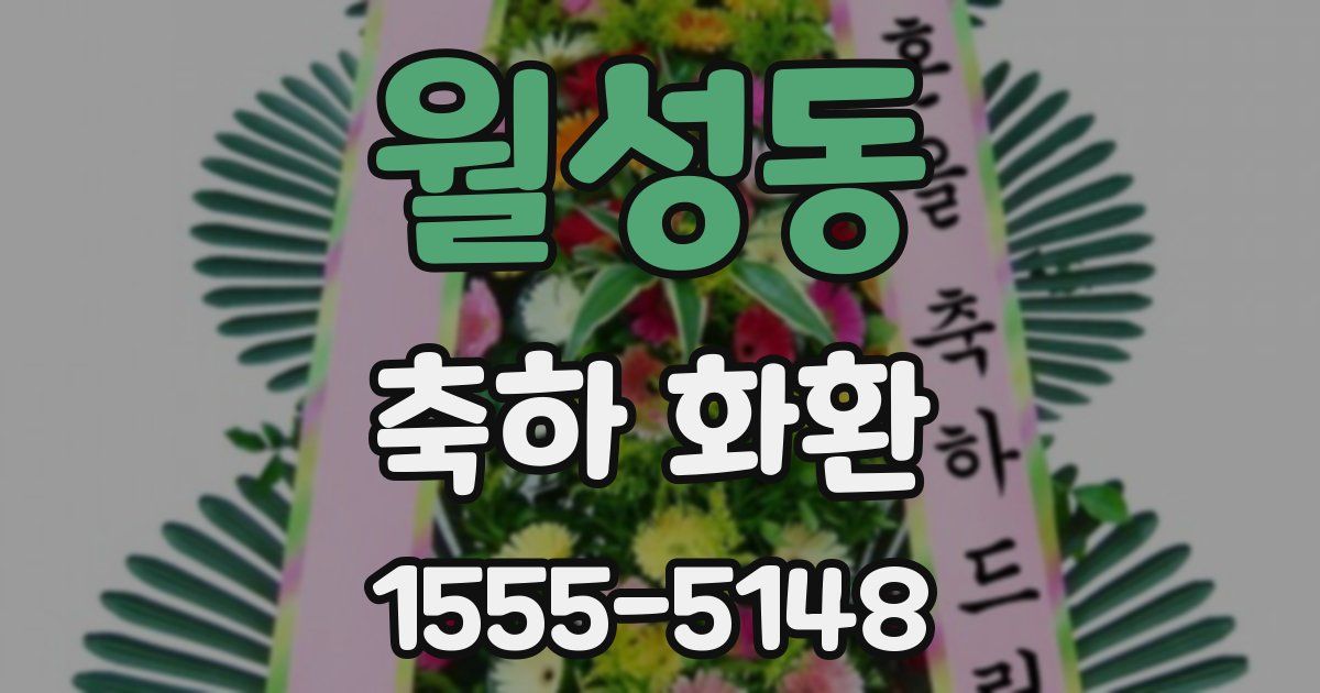 월성동 축하 화환
