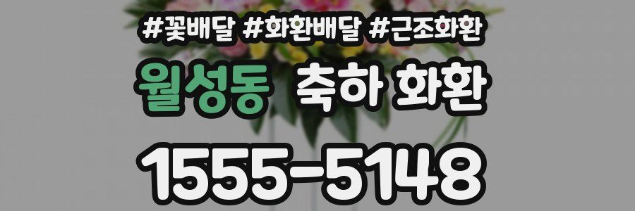 월성동 축하 화환