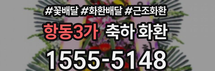 항동3가 축하 화환