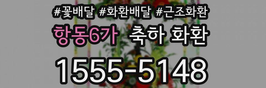 항동6가 축하 화환