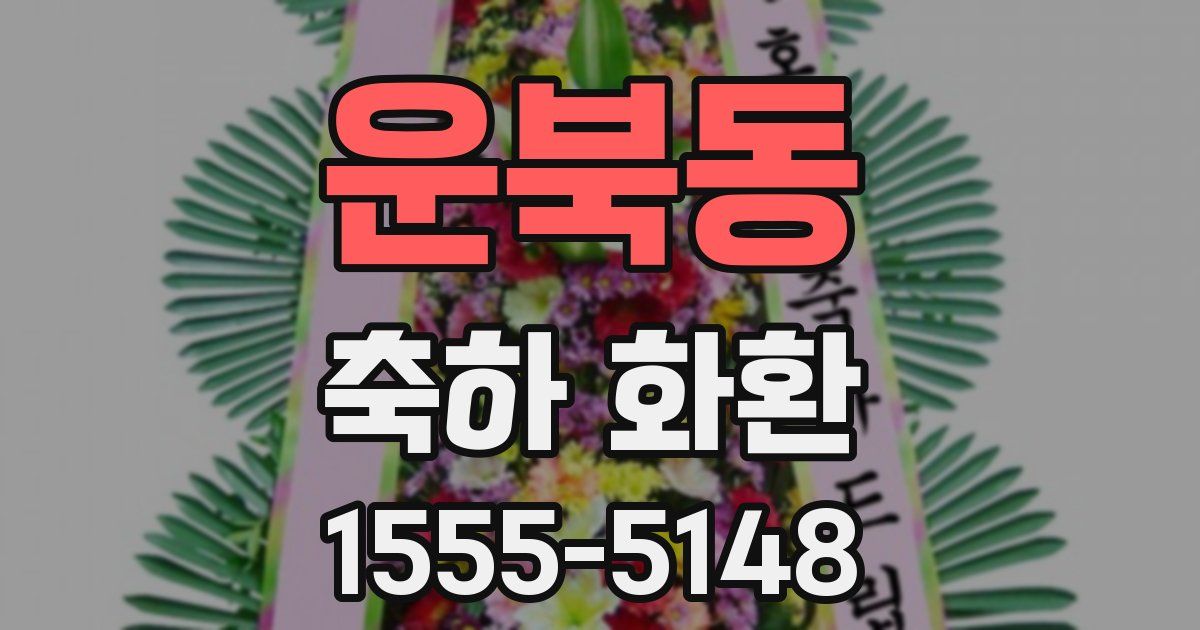 운북동 축하 화환
