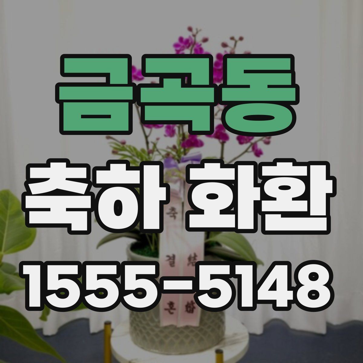 금곡동 축하 화환 오래 보이게 관리하는 방법