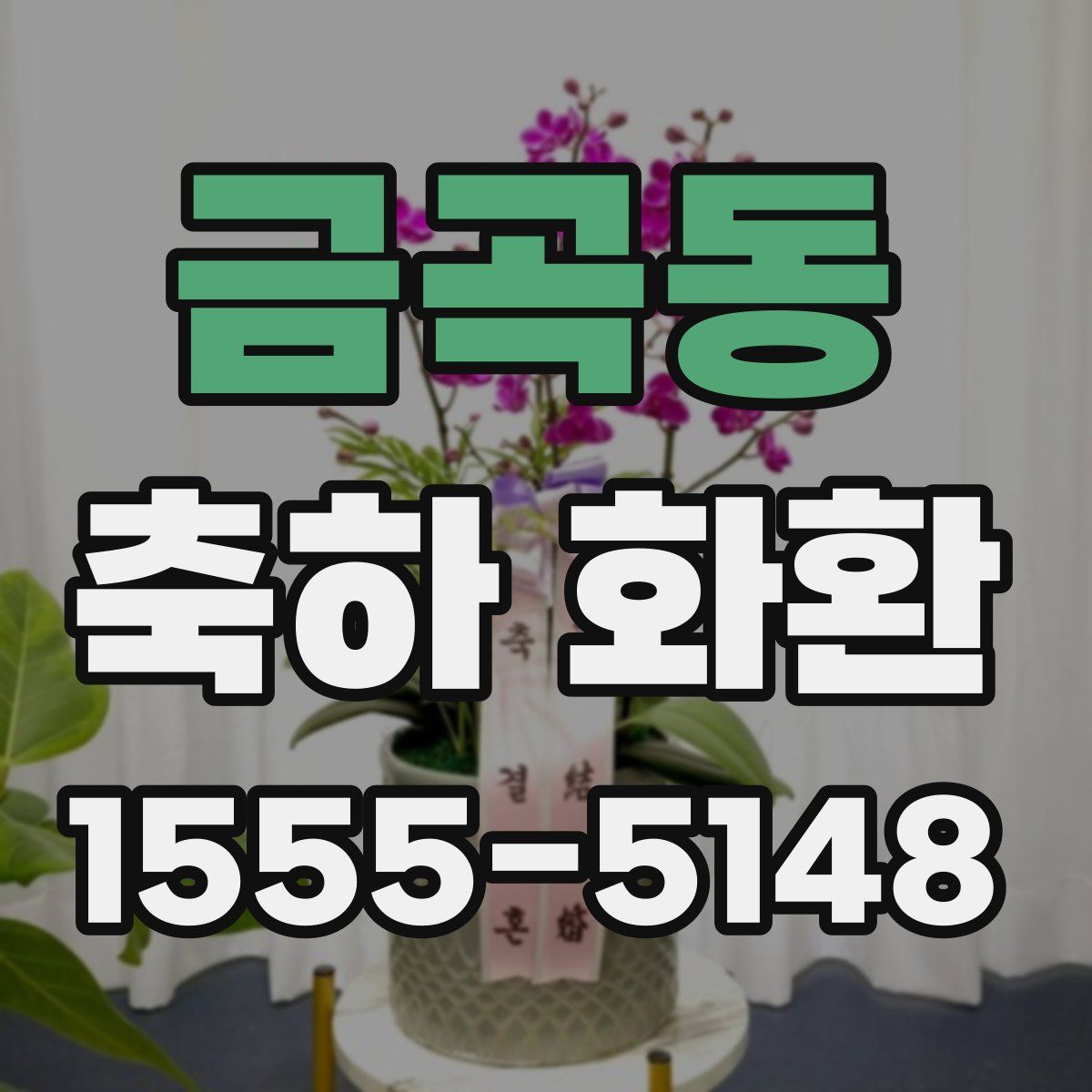 금곡동 축하 화환