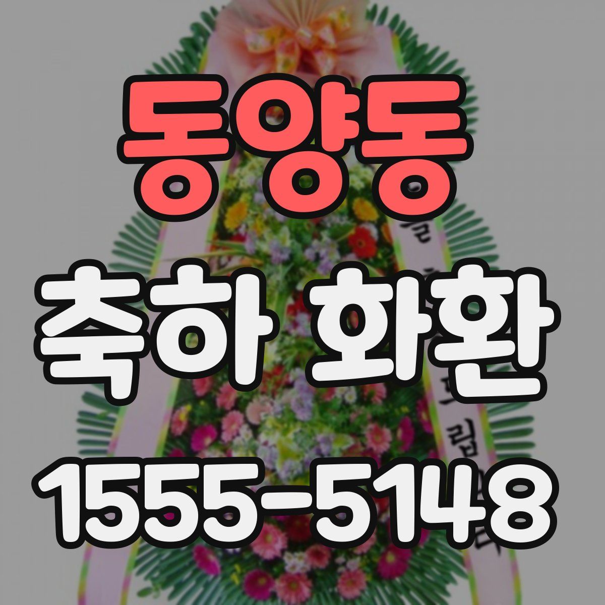 동양동 축하 화환