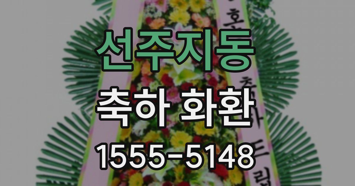 선주지동 축하 화환