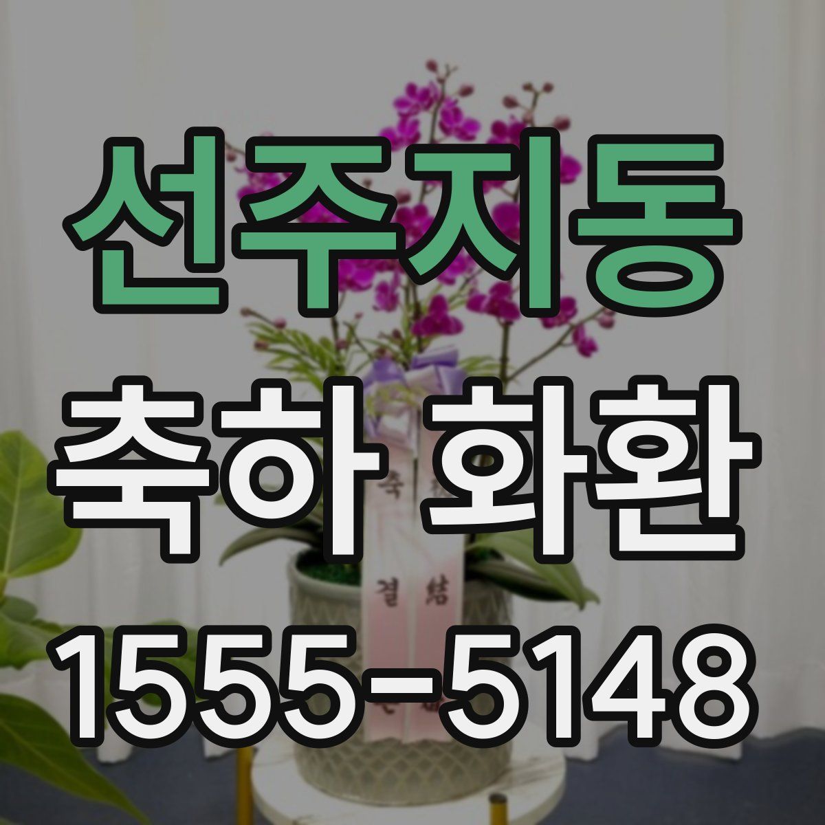 선주지동 축하 화환