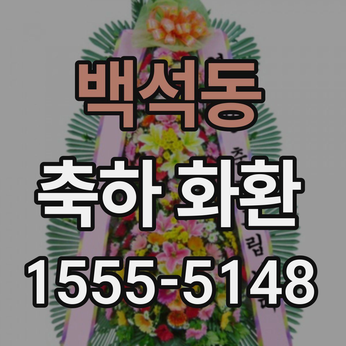 백석동 축하 화환