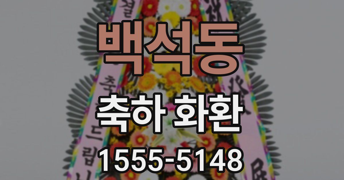 백석동 축하 화환