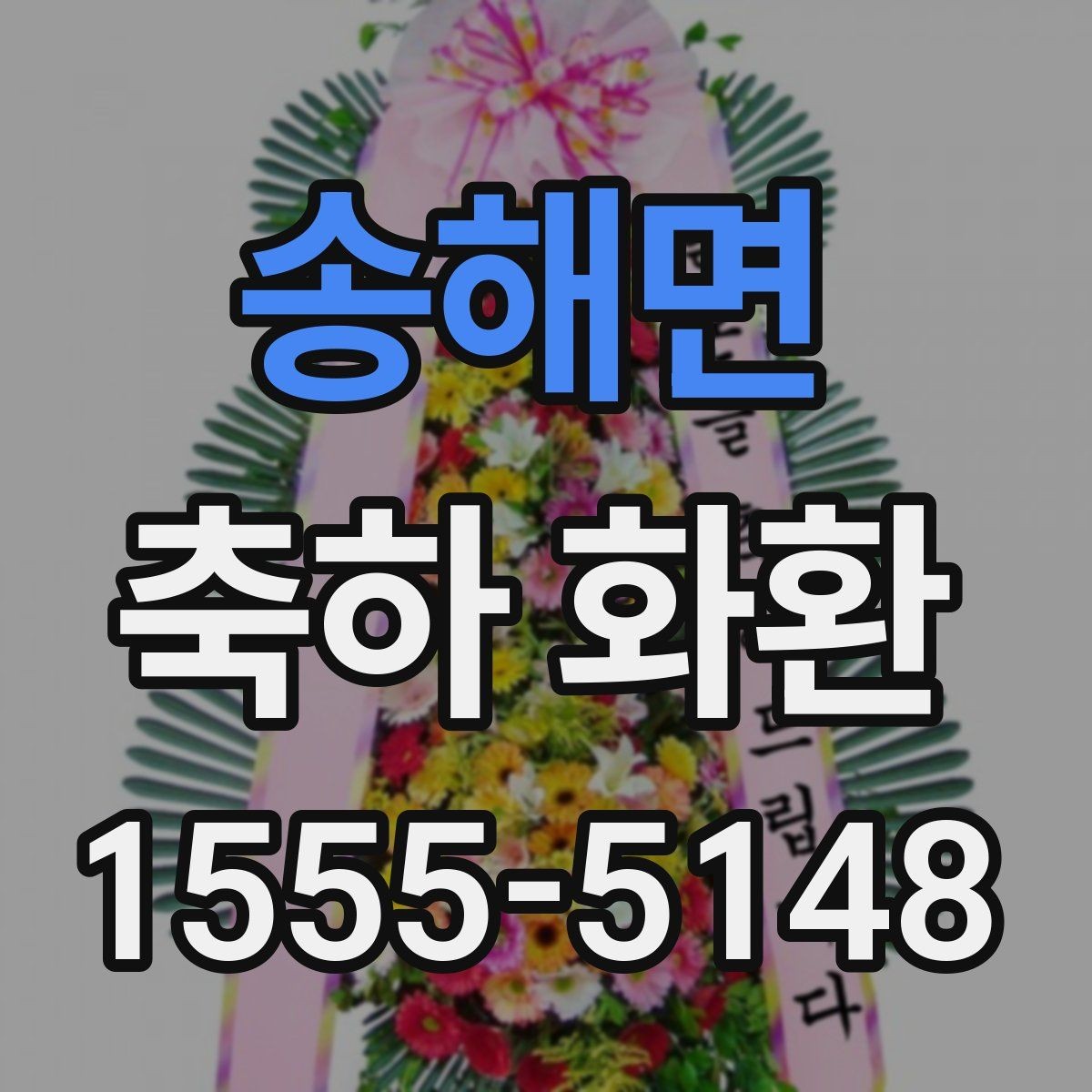 송해면 축하 화환 크기별로 달라지는 인상
