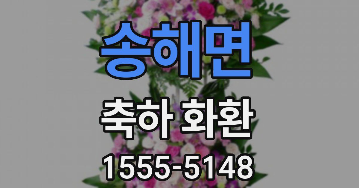 송해면 축하 화환
