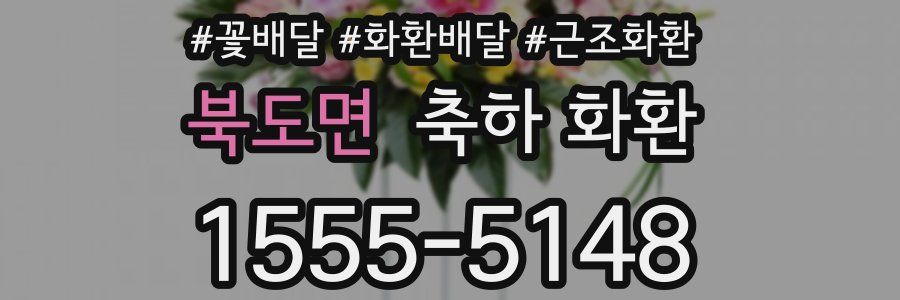 북도면 축하 화환