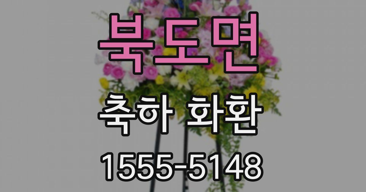 북도면 축하 화환
