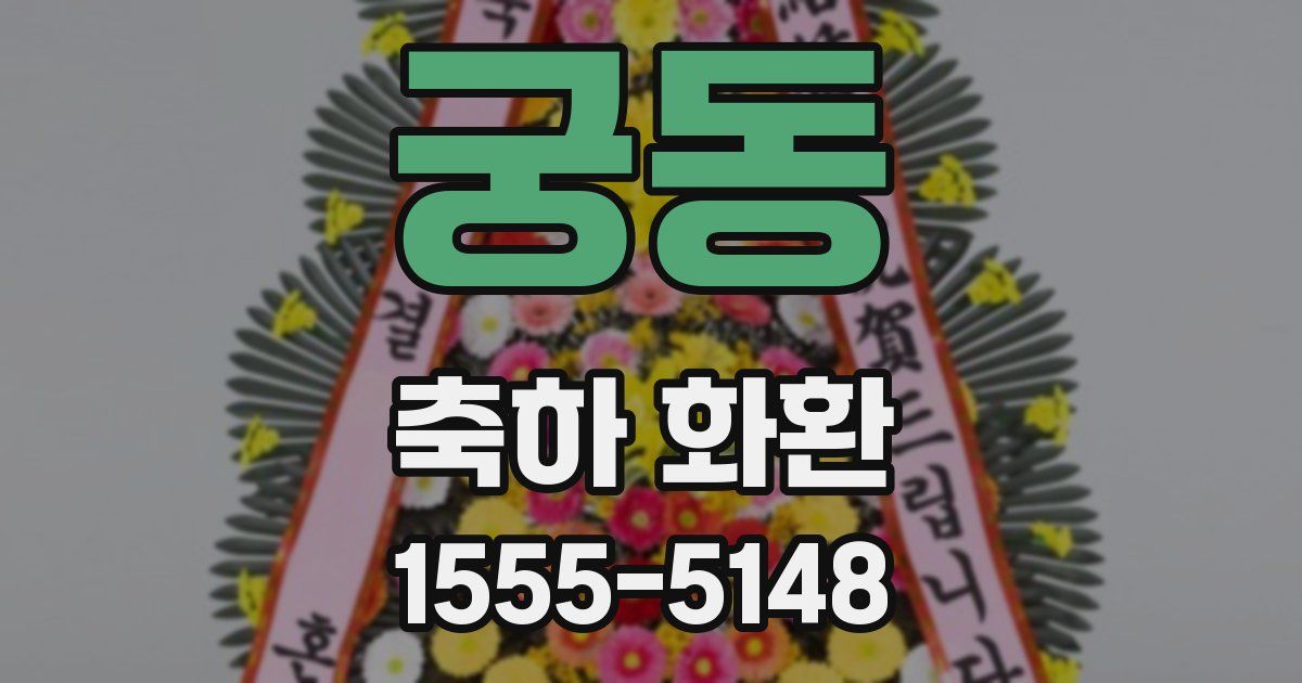 궁동 축하 화환