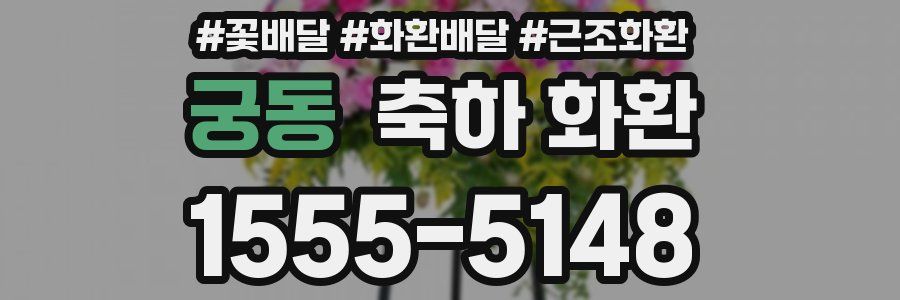 궁동 축하 화환