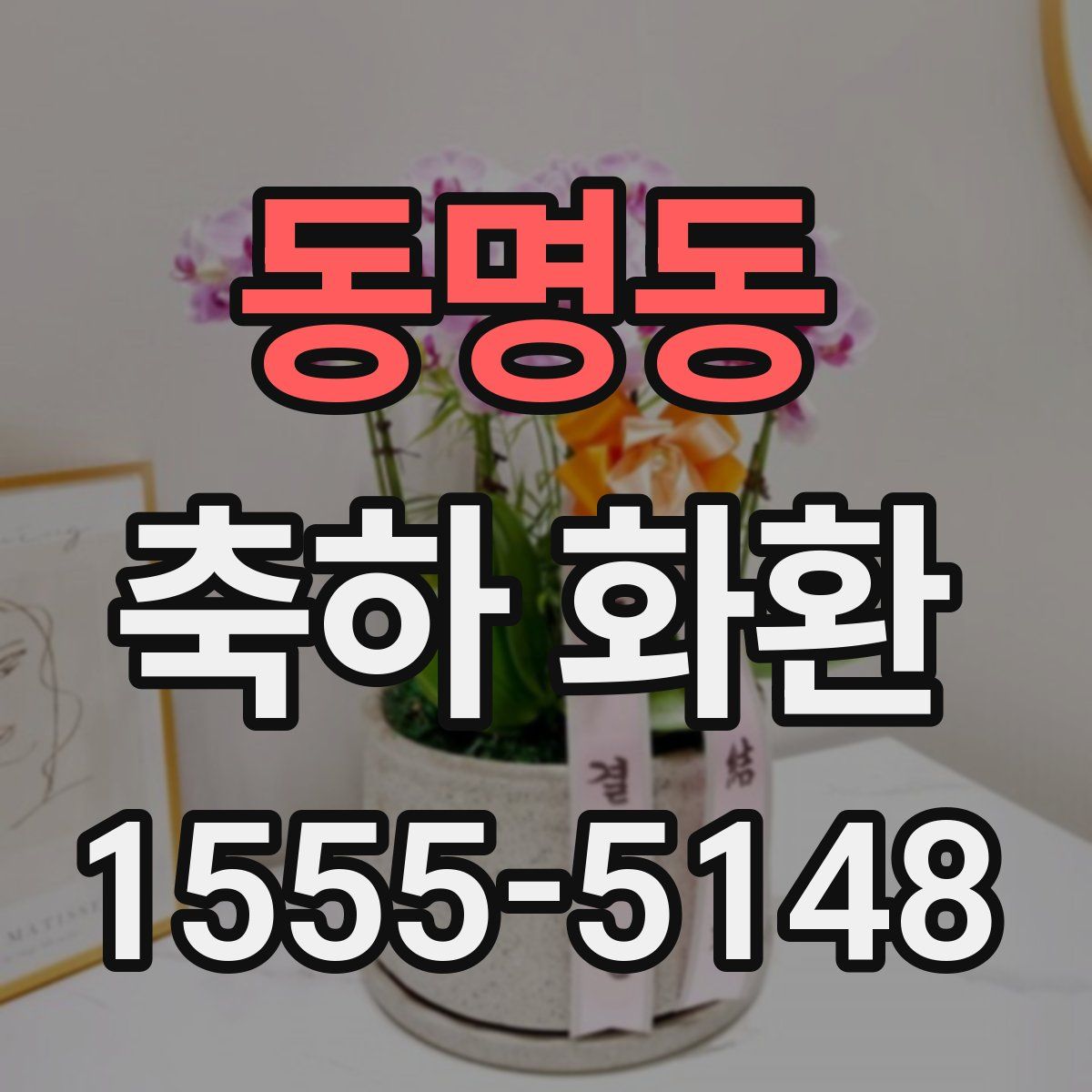 동명동 축하 화환