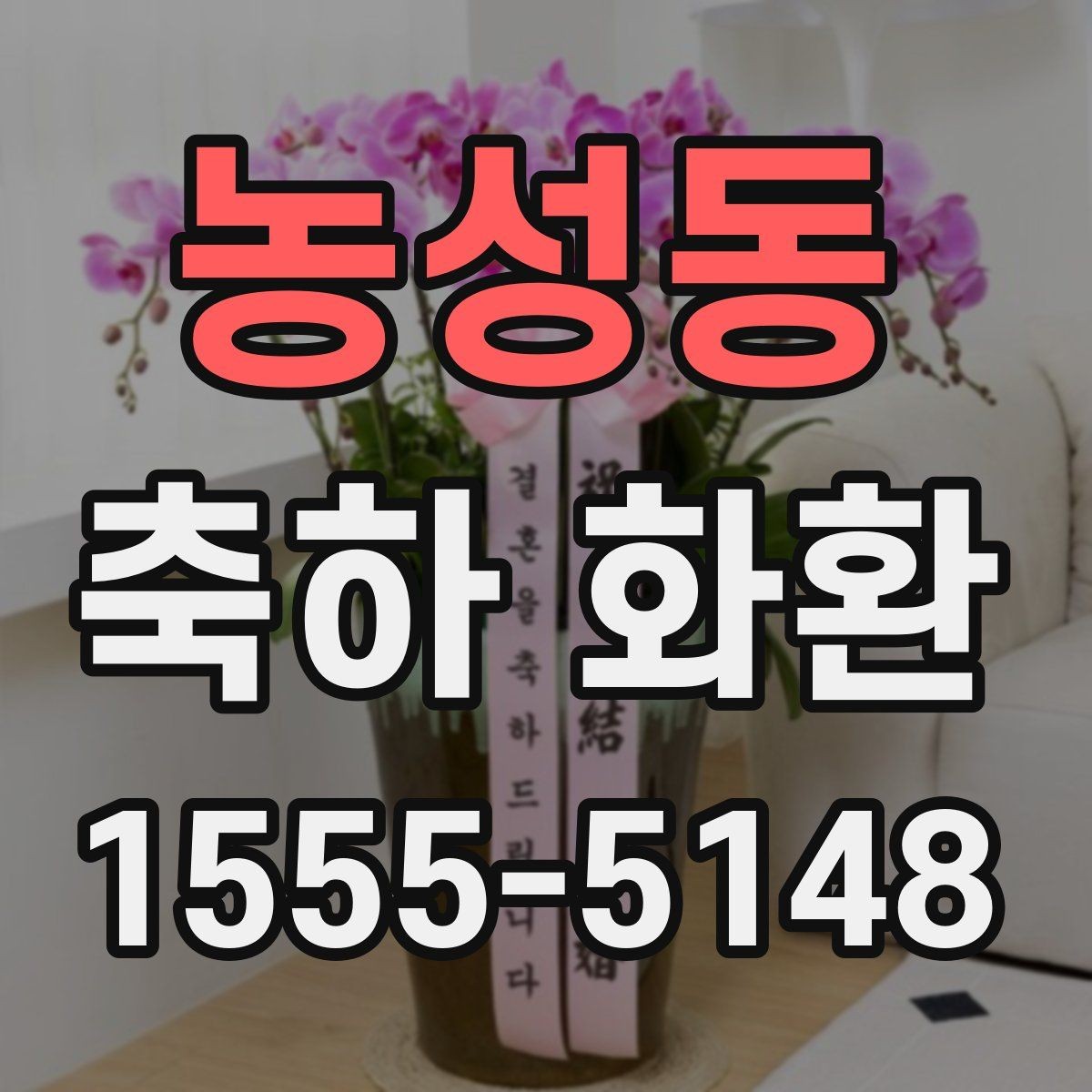 농성동 축하 화환 문의 전 준비하면 좋은 내용