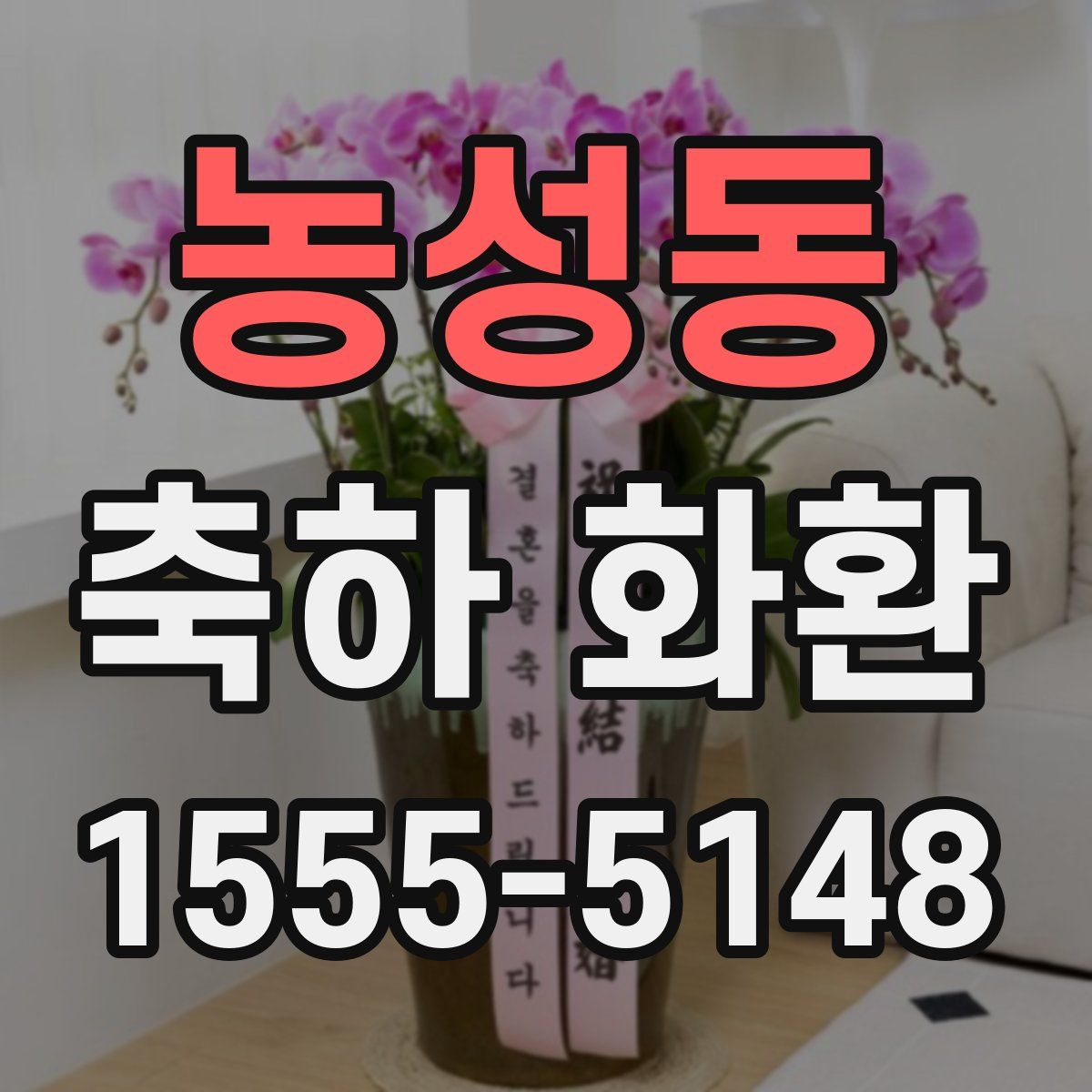 농성동 축하 화환