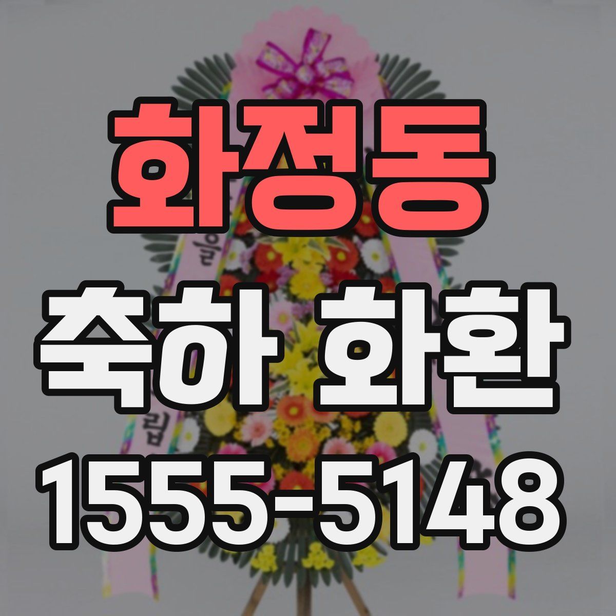 화정동 축하 화환