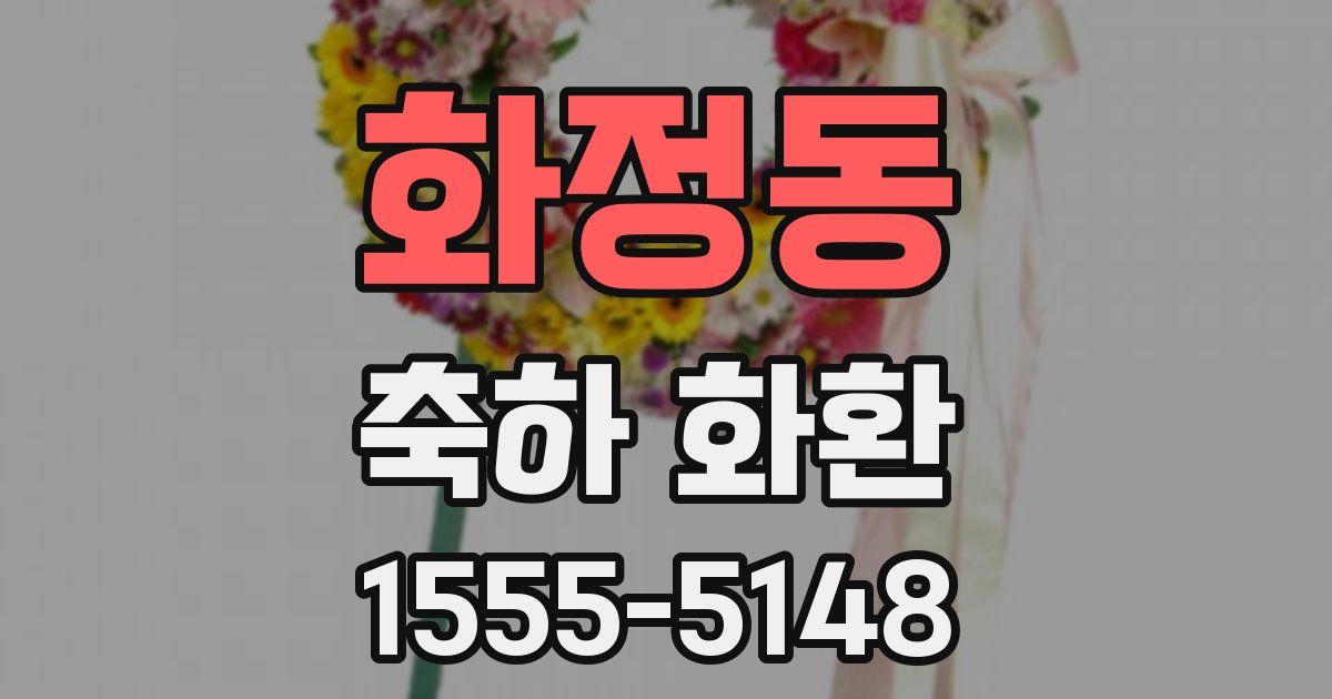 화정동 축하 화환