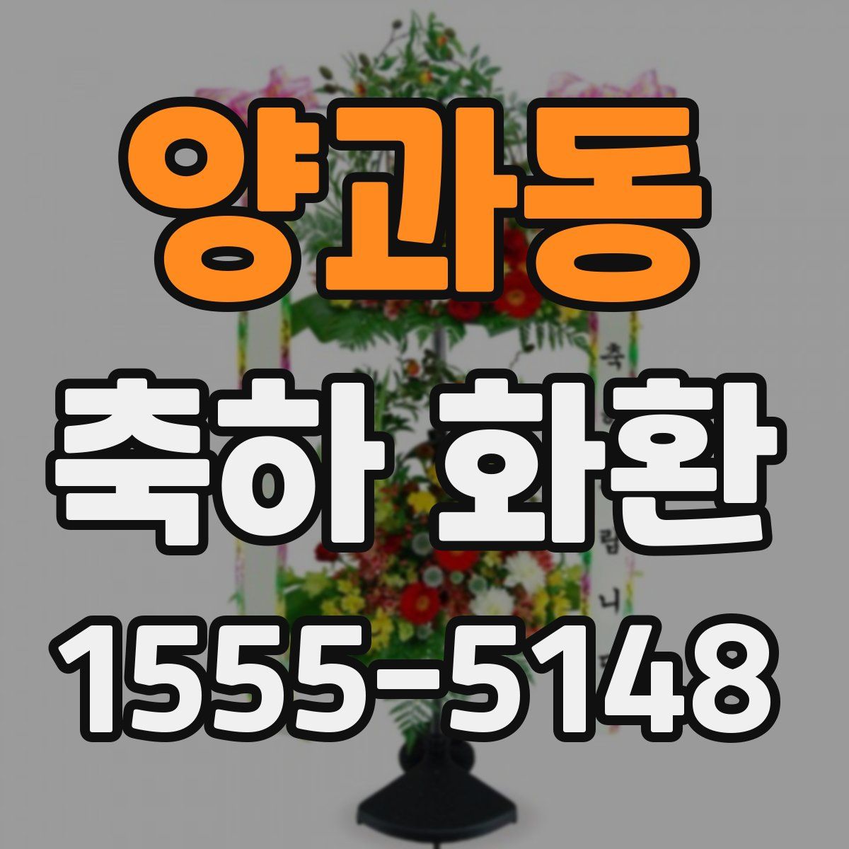 양과동 축하 화환