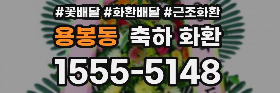 용봉동 축하 화환