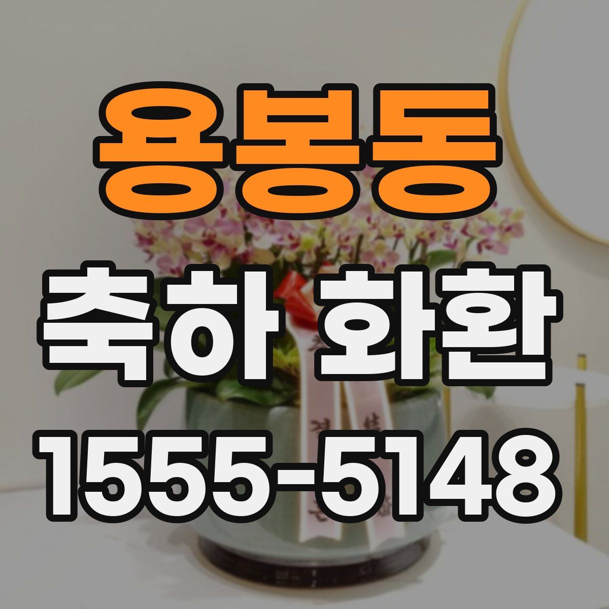 용봉동 축하 화환