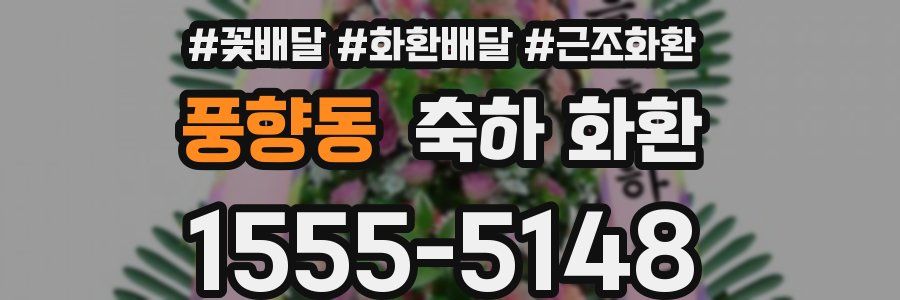 풍향동 축하 화환