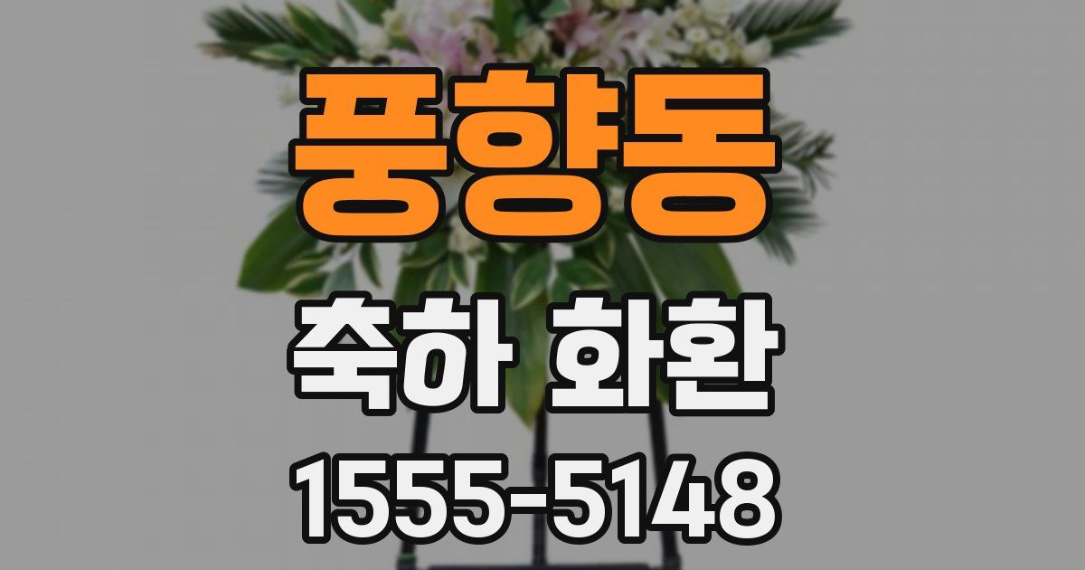 풍향동 축하 화환