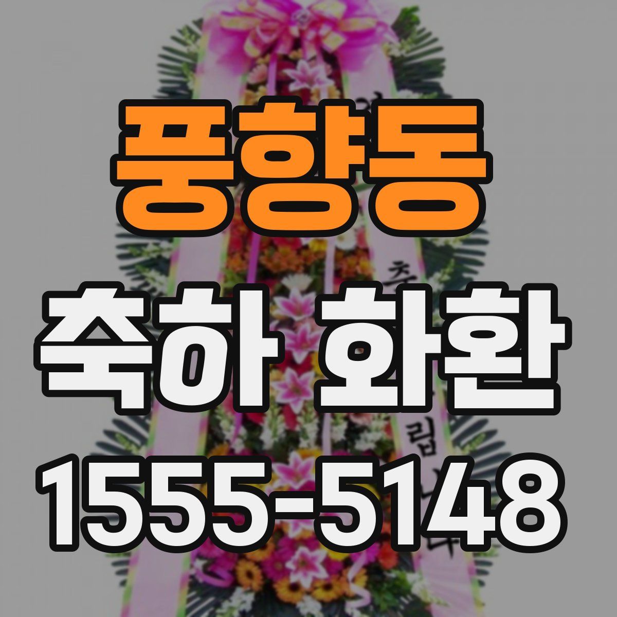 풍향동 축하 화환