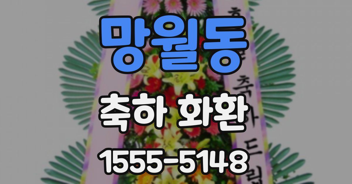 망월동 축하 화환