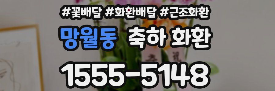 망월동 축하 화환