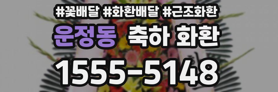 운정동 축하 화환