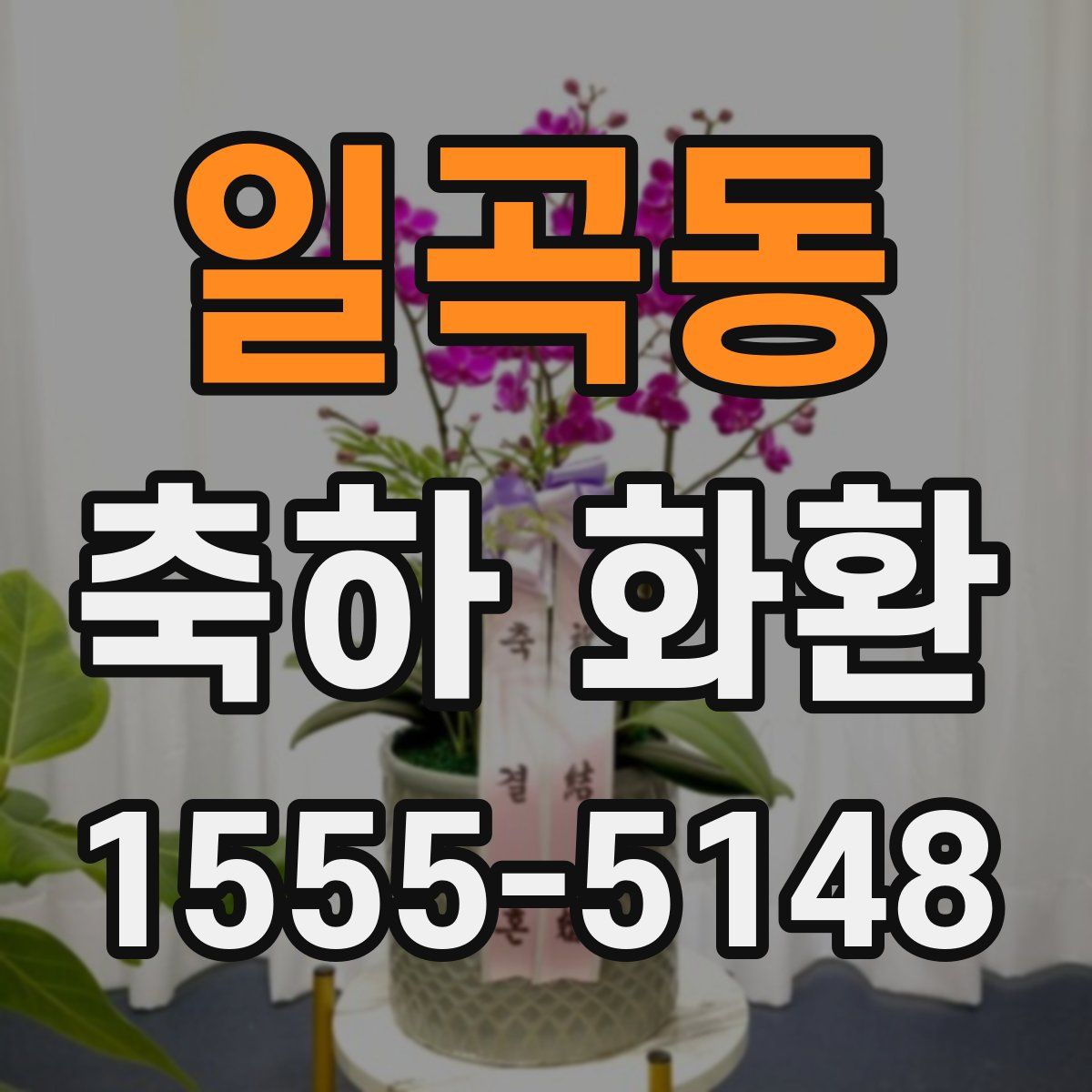 일곡동 축하 화환