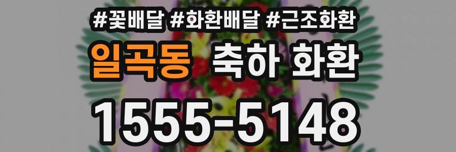 일곡동 축하 화환