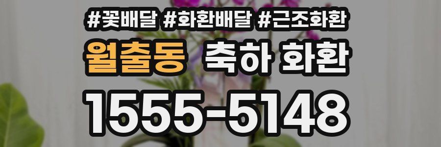 월출동 축하 화환