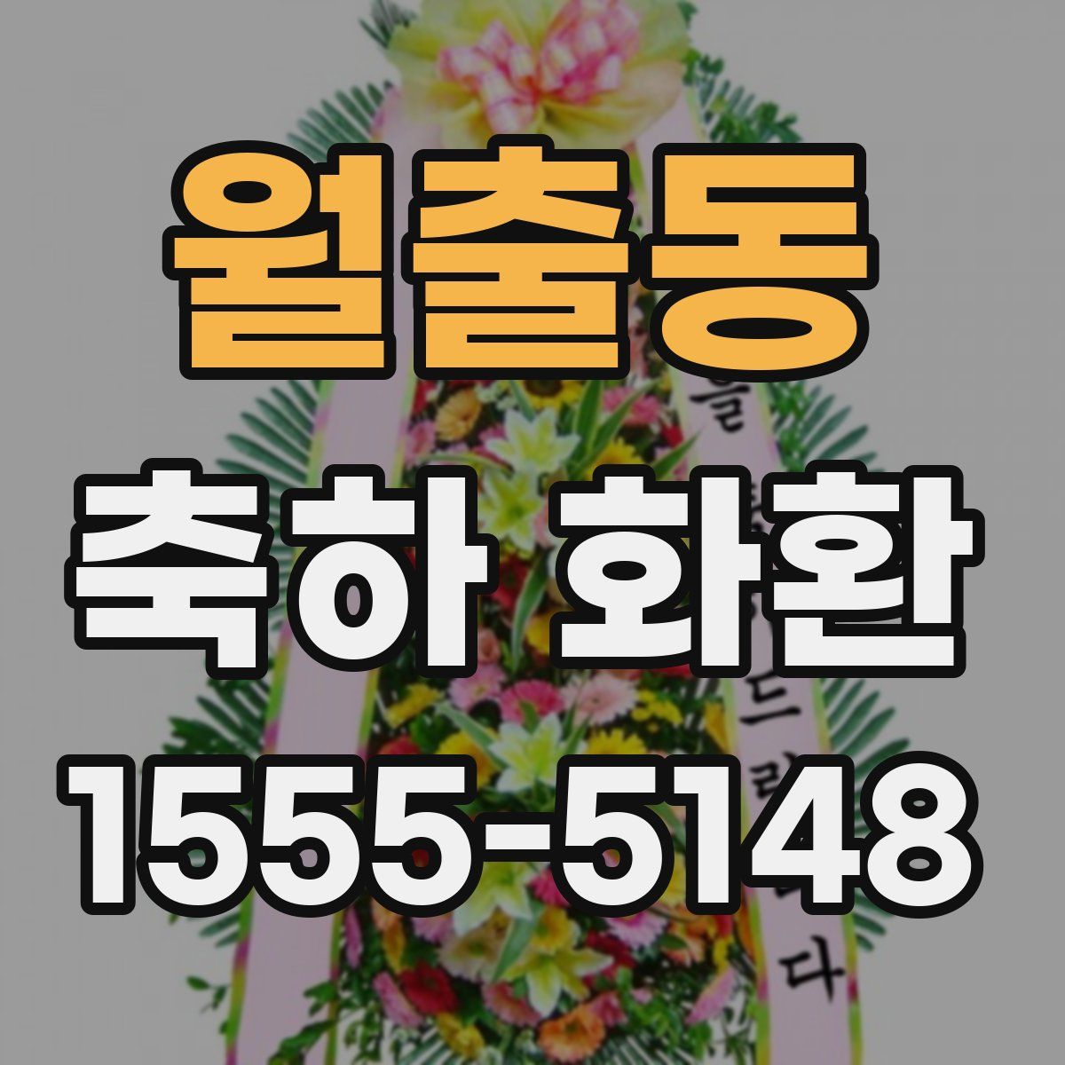 월출동 축하 화환