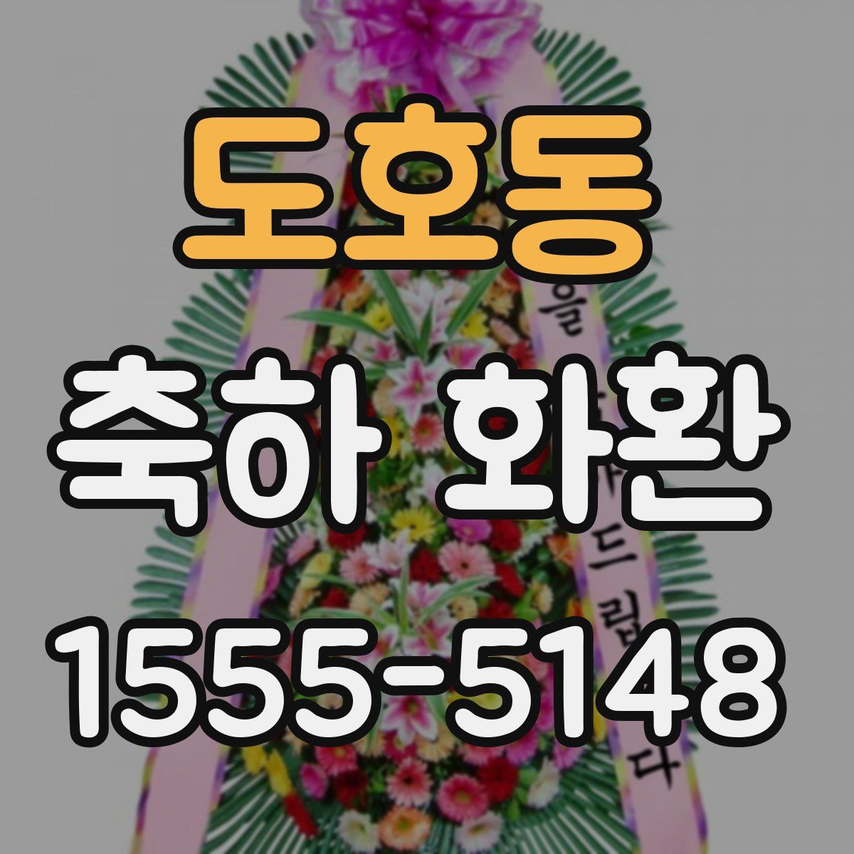 도호동 축하 화환