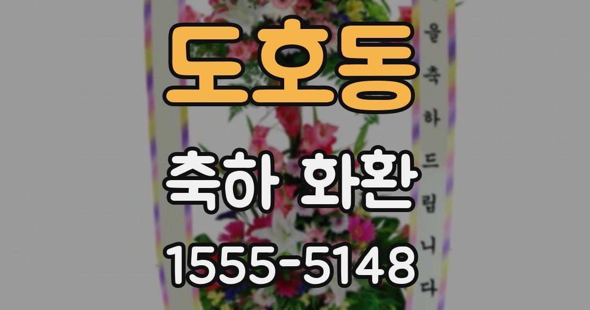 도호동 축하 화환