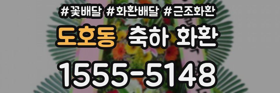 도호동 축하 화환