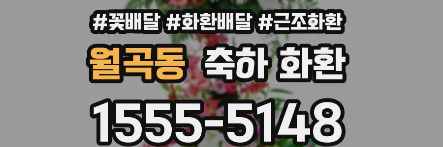 월곡동 축하 화환