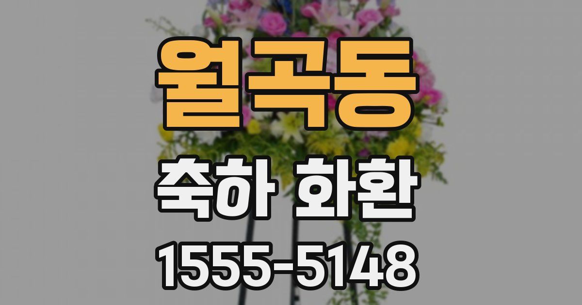 월곡동 축하 화환
