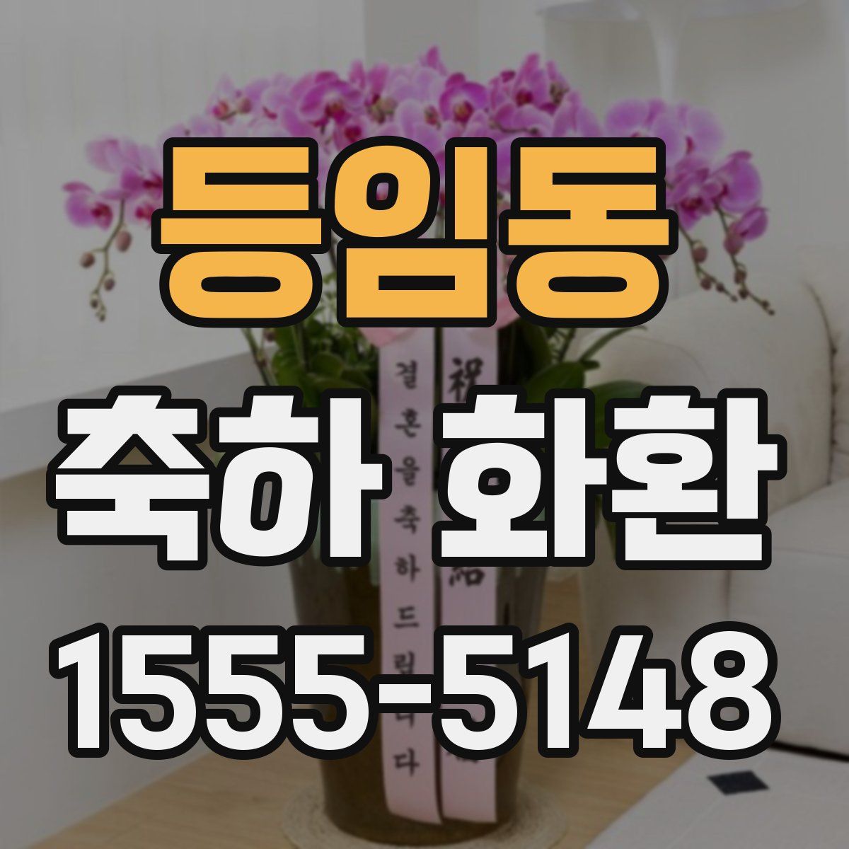 등임동 축하 화환