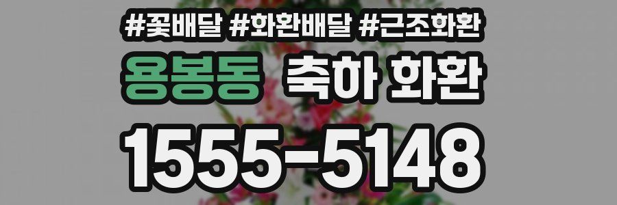 용봉동 축하 화환