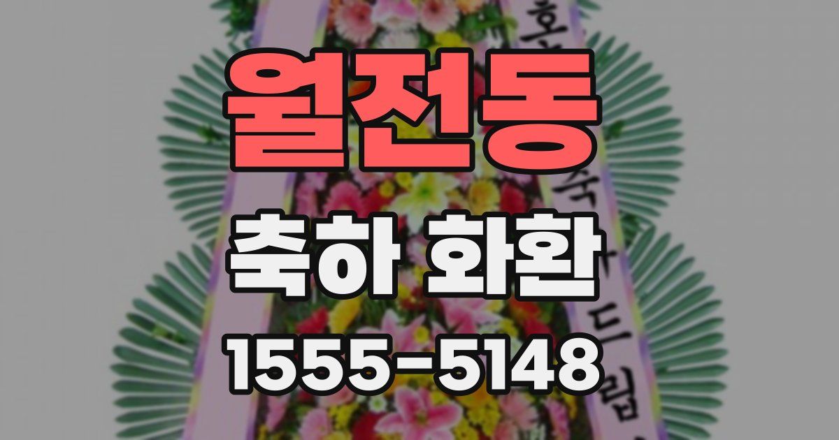 월전동 축하 화환