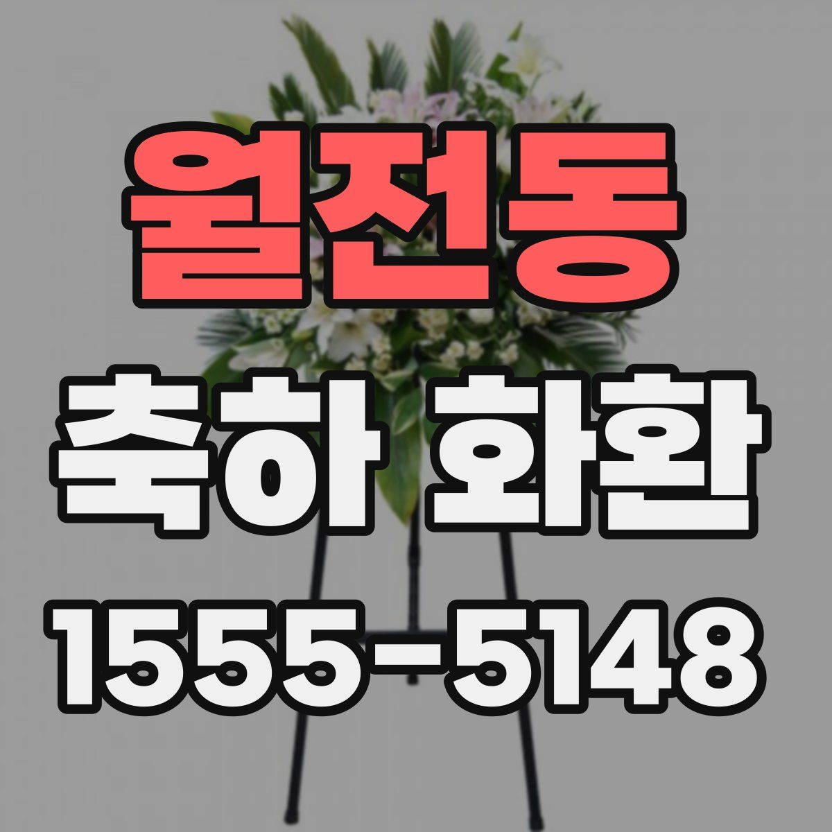 월전동 축하 화환