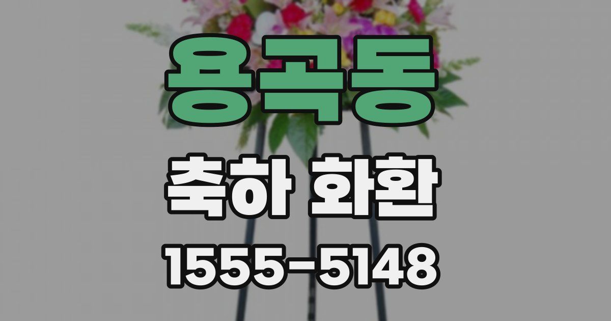 용곡동 축하 화환