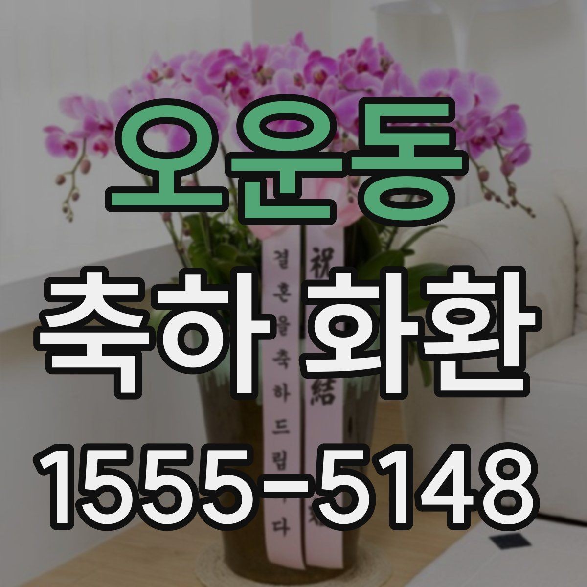 오운동 축하 화환 문구 예시를 상황별로 정리