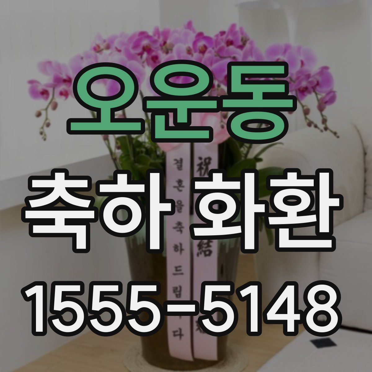 오운동 축하 화환